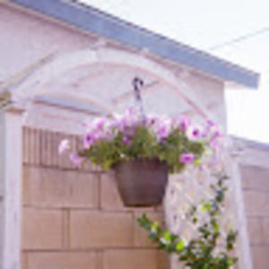 Meet your Posher, Hakela